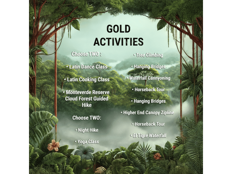 Gold Package – 999 USD