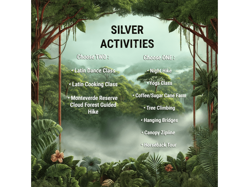 Silver Package - 849 USD