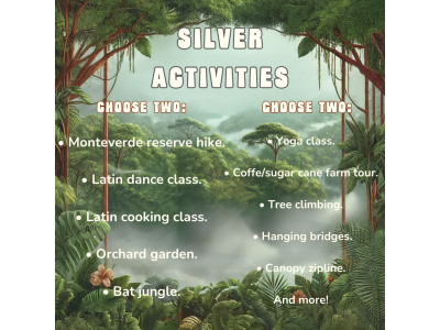 Silver Package - 849 USD