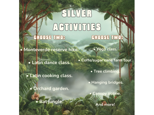 Silver Package - 849 USD