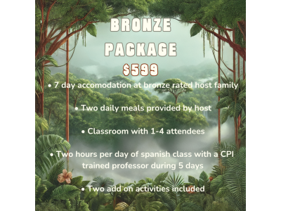 Bronze Package - 599 USD
